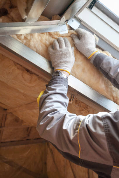 Best Attic Insulation Installation  in Eastpointe, MI