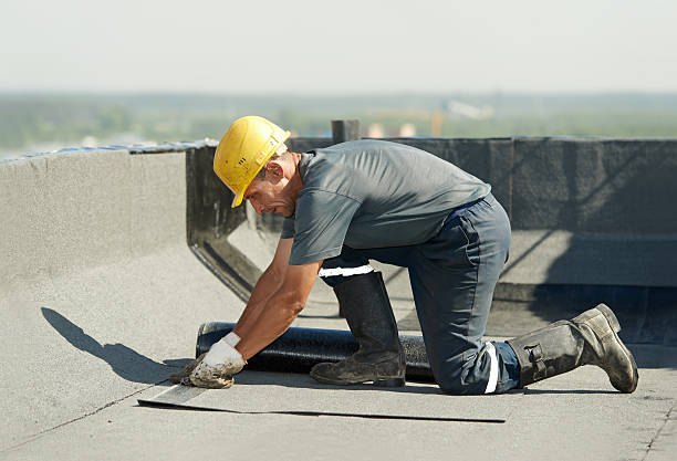 Best Insulation Contractor Near Me  in Eastpointe, MI
