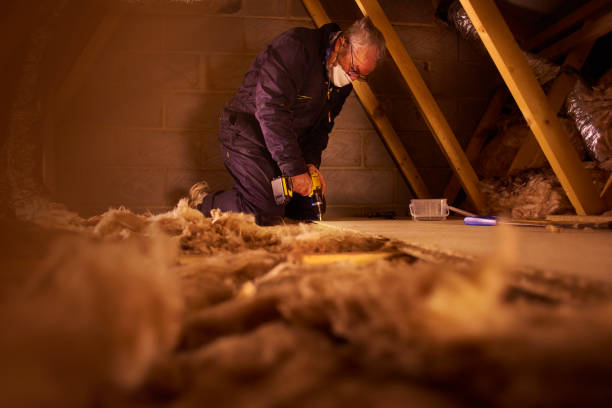 Best Insulation for New Construction  in Eastpointe, MI